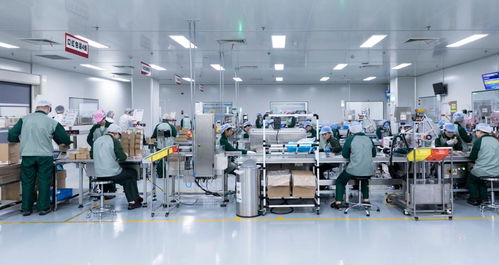 月產近7000萬支 代工廠營收增長超三成背后的產業邏輯與消費趨勢